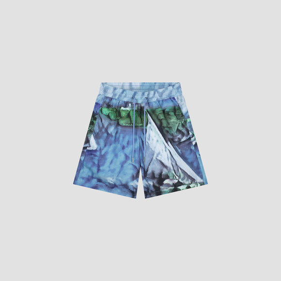 AOP Swim Shorts - Multi